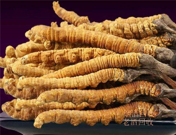 龙泉驿虫草回收