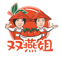 双燕姐品牌全案设计
