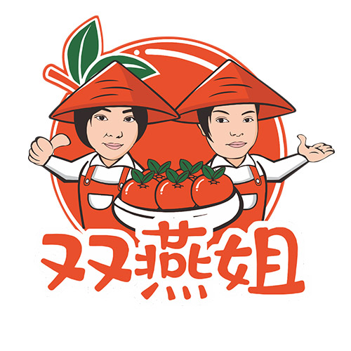 双燕姐品牌全案设计