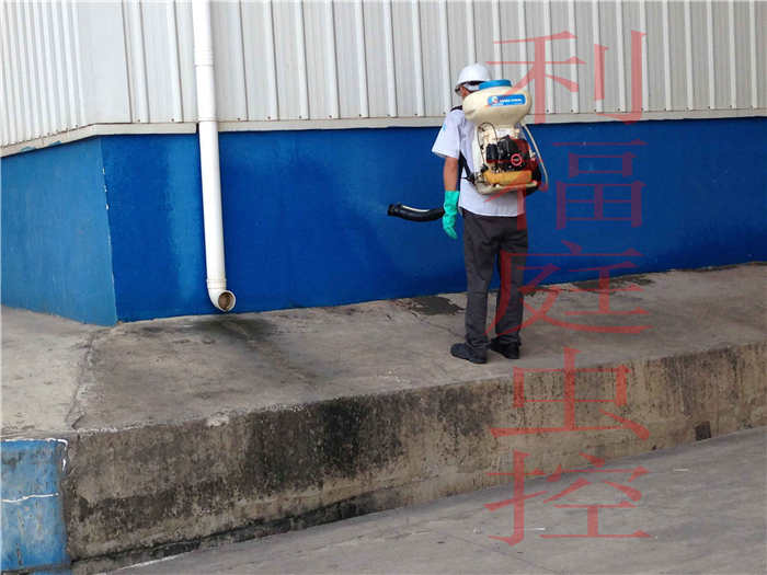 南宁蟑螂防治