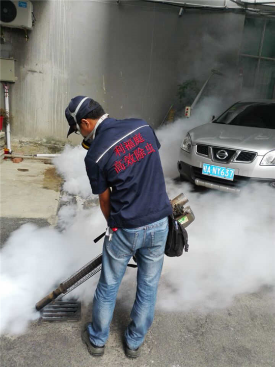 南宁灭蟑螂