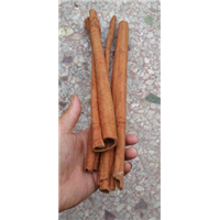 广西桂皮批发