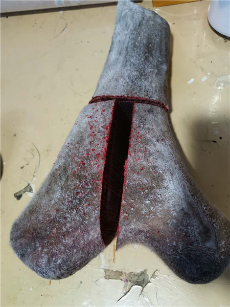 新疆鹿茸 