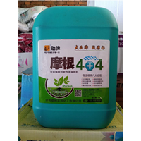 劲牌摩根