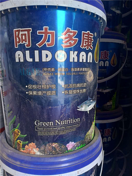 阿力多康 