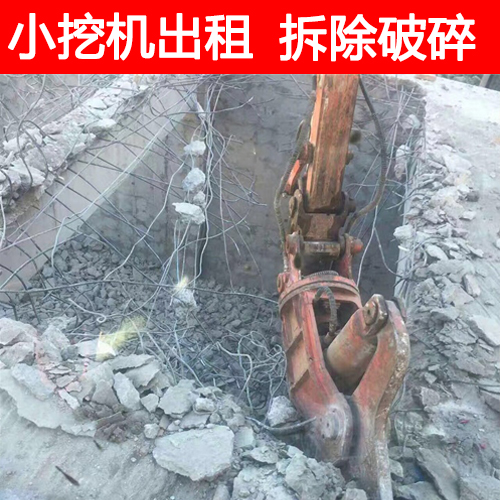 宁波迷你挖机出租 