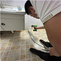 常州灭白蚁多少钱