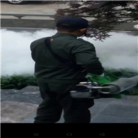 无锡灭苍蝇