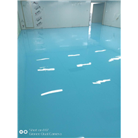 广东深圳环氧地坪