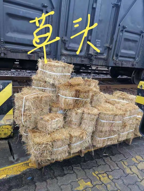 宜春玉米秸秆变废为宝成为有机饲料快来围观吧 