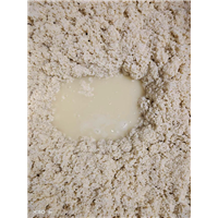 广西白酒批发厂家 