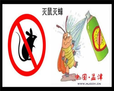 西昌灭鼠教你家庭的白蚁防治方法