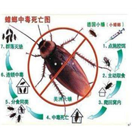 西昌灭蟑螂公司