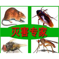 西昌灭鼠的服务范围