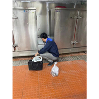 凉山灭鼠公司