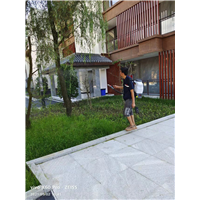 西昌灭鼠公司