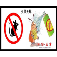 西昌灭鼠教你家庭的白蚁防治方法