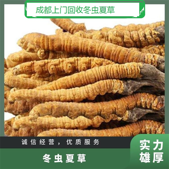 双流回收虫草，双流回收冬虫夏草，双流收购虫草