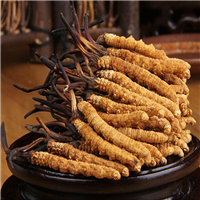 成都回收冬虫夏草哪家好
