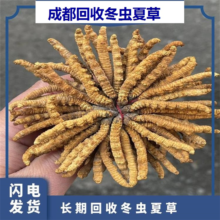 成都礼盒冬虫夏草回收商家,回收虫草价格
