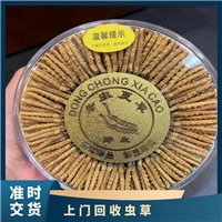 青白江冬虫夏草精品、回收散装
