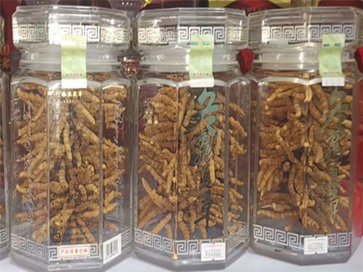 金牛区成都冬虫夏草回收店成都收购虫草店