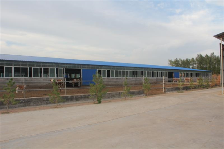 通辽黄牛基地 