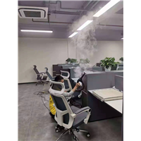 株洲专业去除甲醛 