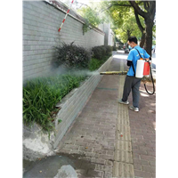 醴陵专业除甲醛