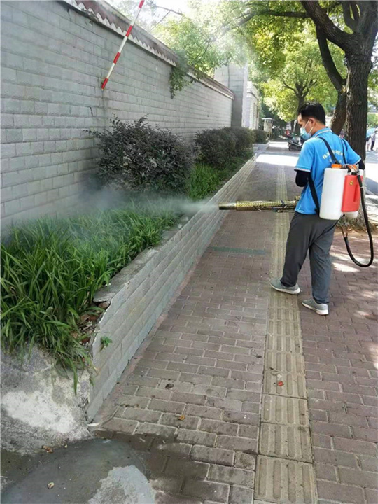醴陵专业除甲醛 