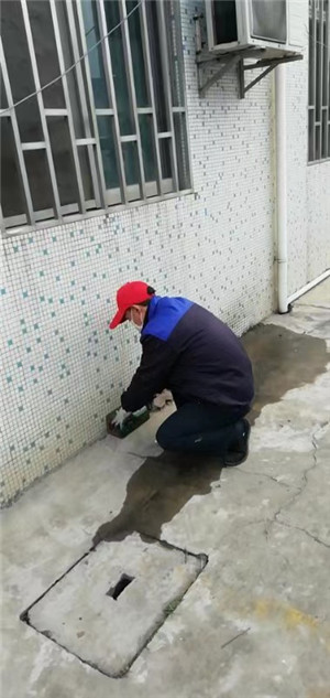 靖江除灭老鼠 