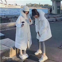 服装 