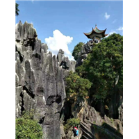 贵州塑石假山s贵州塑石假山施工