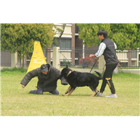 抚顺训犬师培训