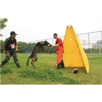 抚顺训犬