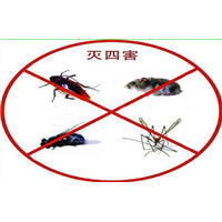 新疆除四害 
