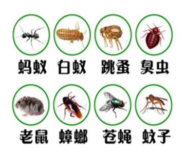 乌鲁木齐除四害公司 