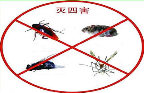 新疆除四害 
