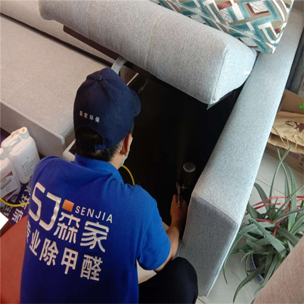 泾阳除甲醛电话