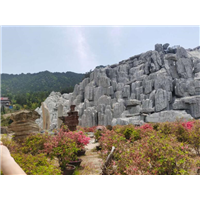 贵州假山塑石h贵州塑石假山h