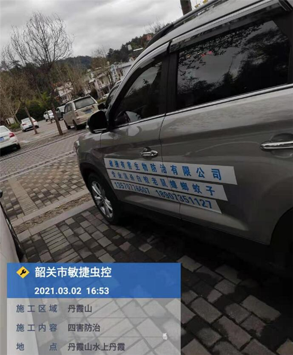 韶关杀虫灭鼠 