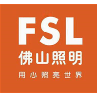 容县佛山照明 