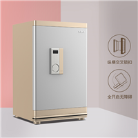 铂雅家用大型保险柜