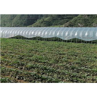 种植合作社
