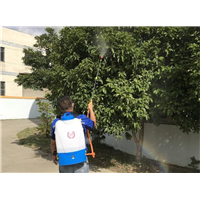 慈溪灭老鼠电话