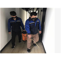慈溪杀虫公司电话