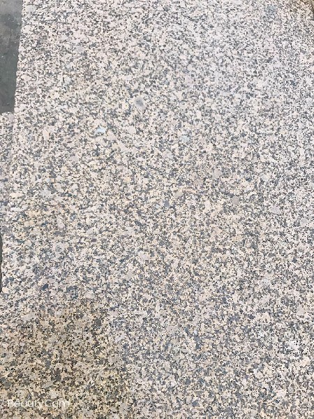 江西海地金钻光面批发 