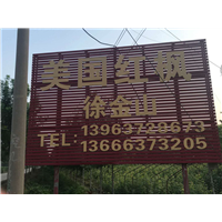 山东济宁美国红枫基地 