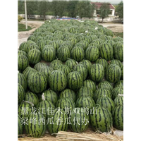 佳木斯盛丰大**西瓜代办 