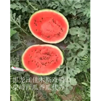 佳木斯西瓜代办电话 